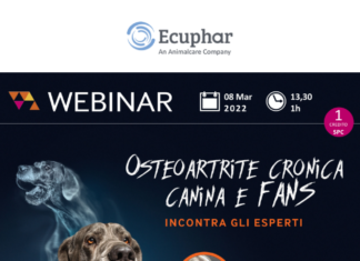 Webinar-Ecuphar-osteoartrite-cronica-canina-e-fans-incontra-gli-esperti-8-marzo-2022